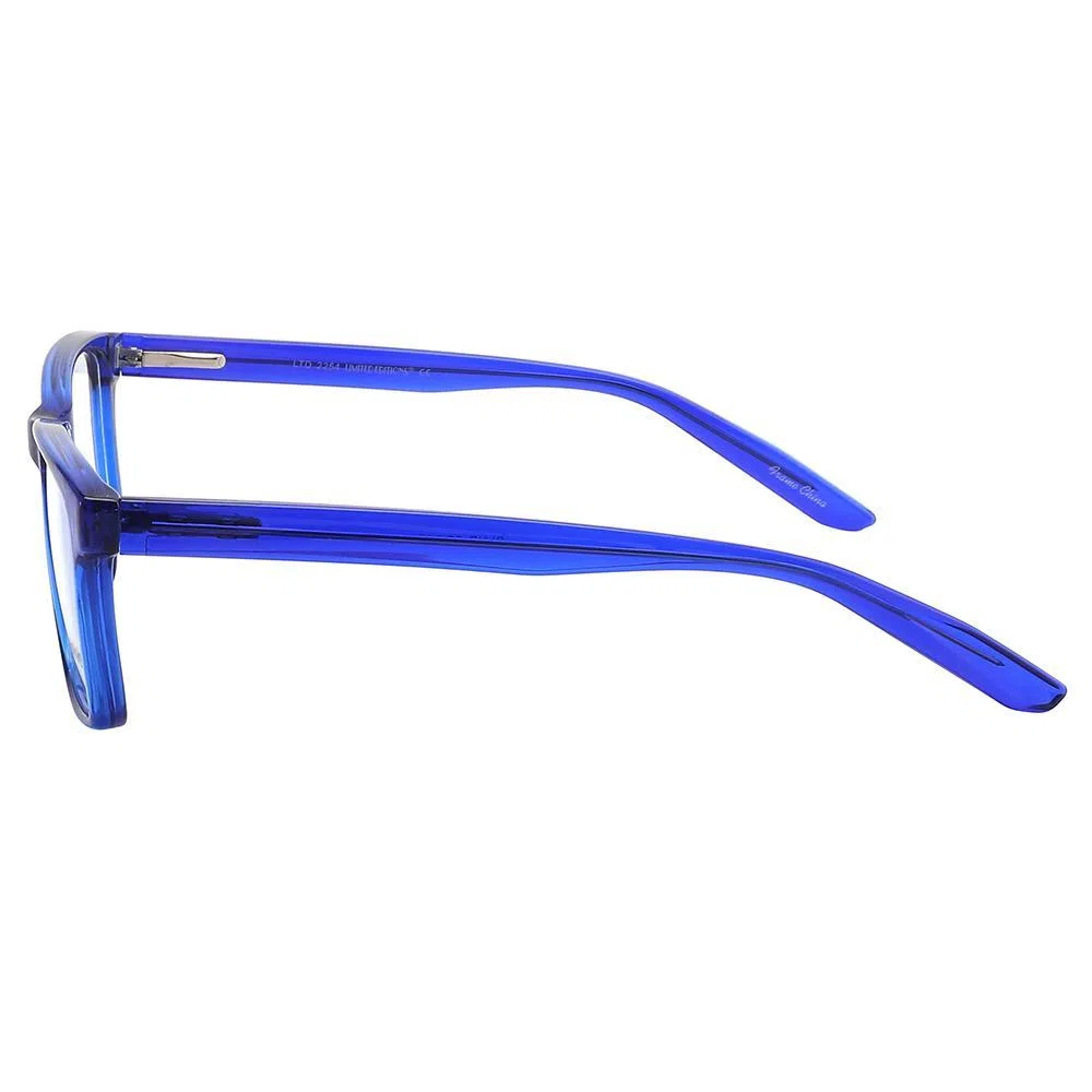 LIMITED EDITIONS 2254 Eyeglasses - view 3